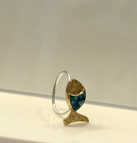 Underwater Fish Ring
