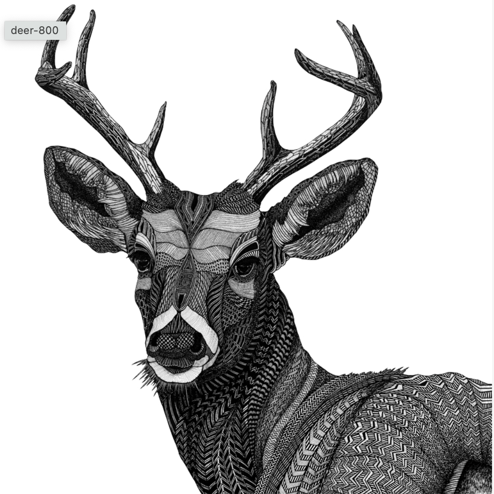 Deer Art Work