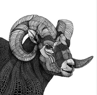 Ram