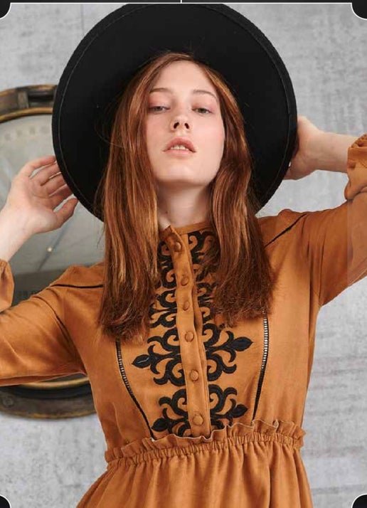 Brown With Black Embroidery Dress
